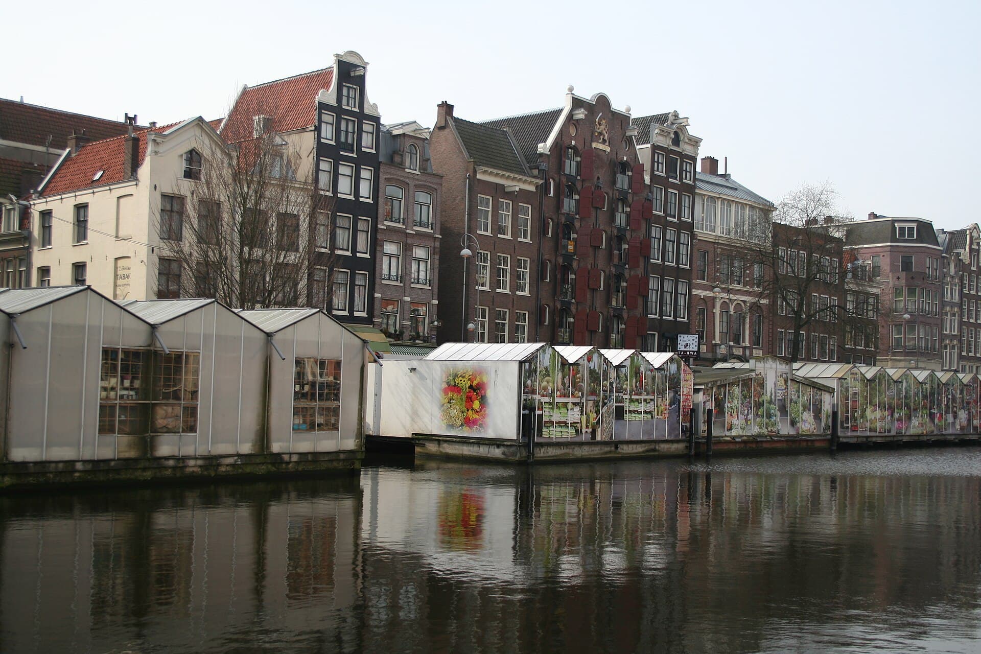 The Best Time to Visit Amsterdam in 2026: An Honest Month-by-Month Breakdown