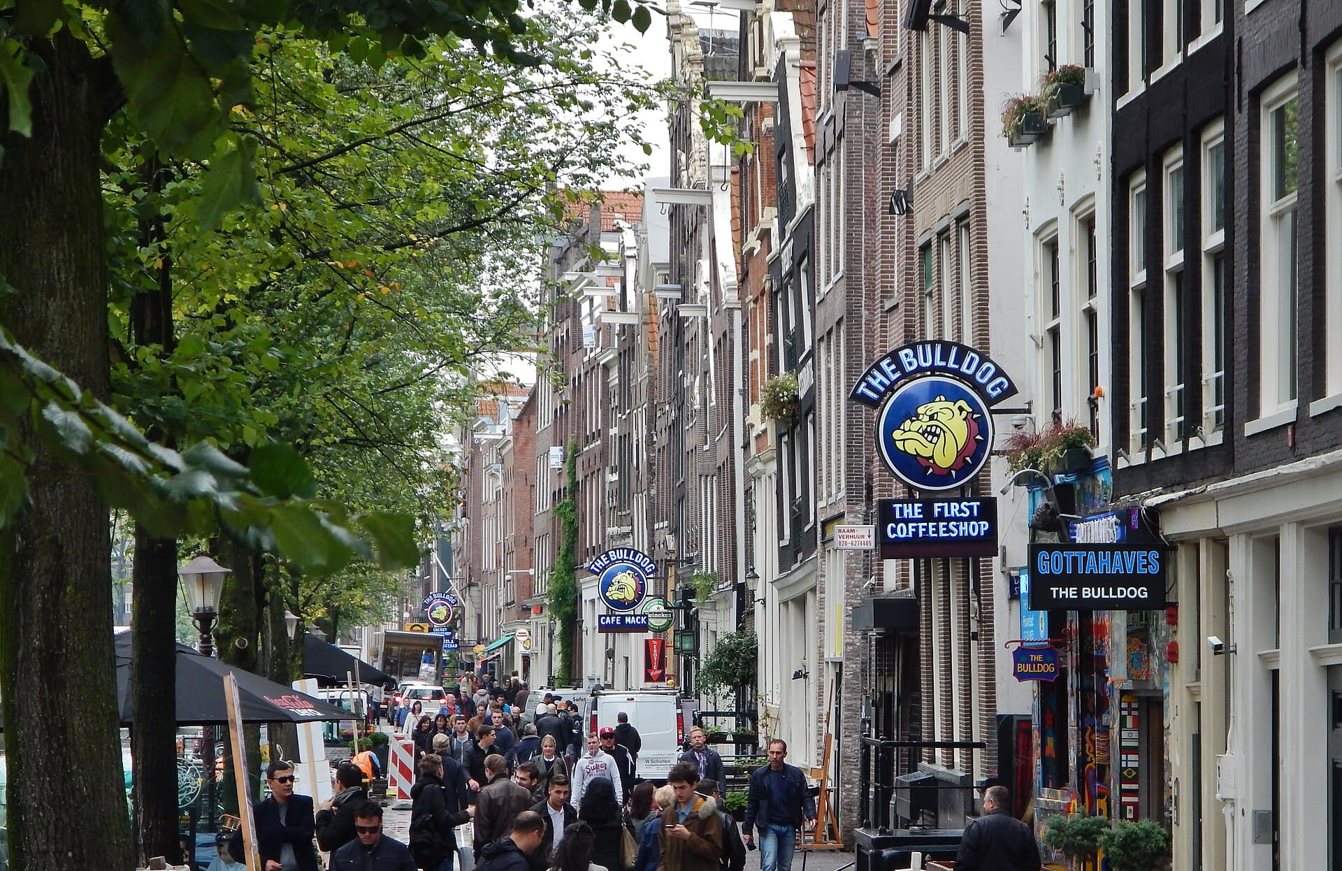 Can Tourists Go to Coffeeshops in Amsterdam in 2026? The Honest Update